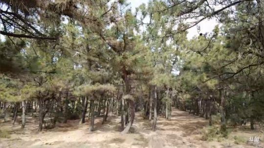 哆啦爱梦梦发布了一个斗鱼视频2019-04-16