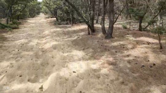 哆啦爱梦梦发布了一个斗鱼视频2019-04-16