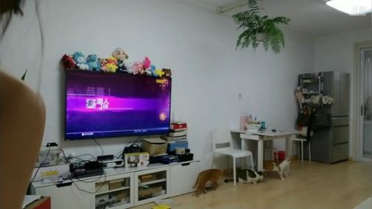 周二晚上划水后播jd 2019-04-16 22点场