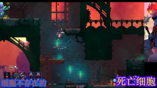 死亡细胞。复活 2019-04-17 00点场