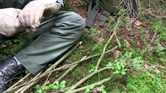 Bushcraft Bear _ 在小树林里野营_聆听大自