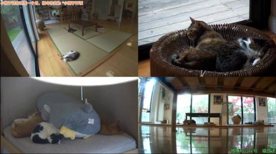 HHHISHHH发布了一个斗鱼视频2019-04-17