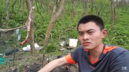 丿Good丶发布了一个斗鱼视频2019-04-19