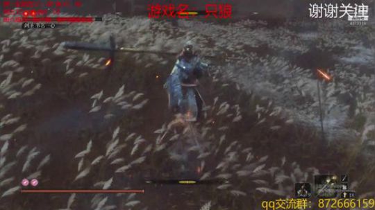 只狼被玩坏了 4373319 2019-04-17 16点场