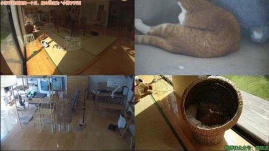 HHHISHHH发布了一个斗鱼视频2019-04-18