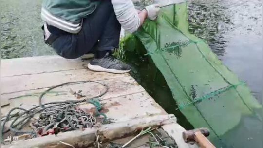 我本善良72发布了一个斗鱼视频2019-04-19