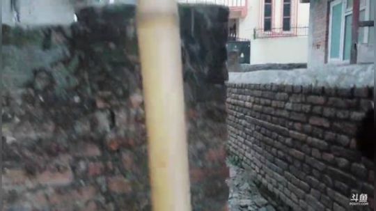 孤独的旅行叶-尼泊尔第4天 2019-04-19 19点场