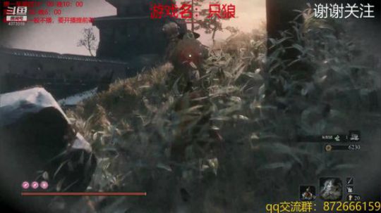 只狼被玩坏了 4373319 2019-04-17 12点场