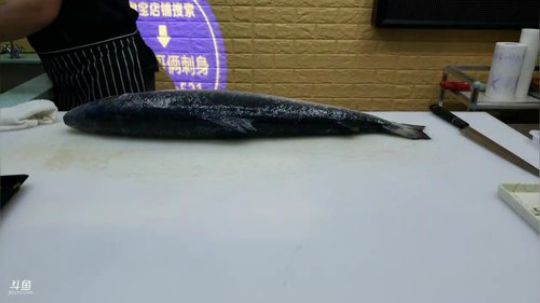 丿Good丶发布了一个斗鱼视频2019-04-19