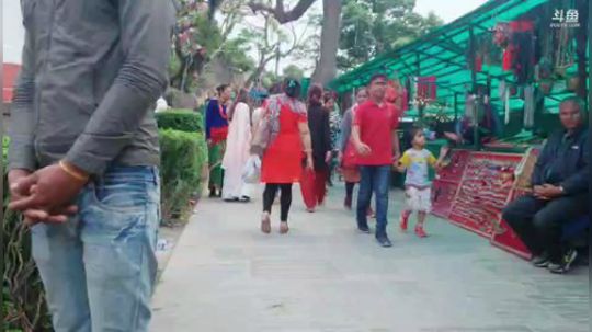 我本善良72发布了一个斗鱼视频2019-04-19