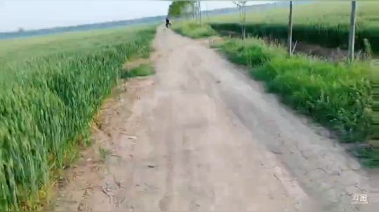 久违的小红河