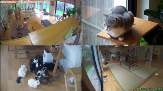 HHHISHHH发布了一个斗鱼视频2019-04-19