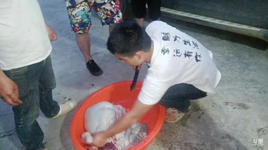 【斗鱼美食MAX上线】聚会第二天。 2019-04-20 18点场