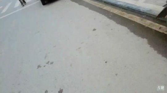 【斗鱼美食MAX上线】欢迎大家来到魅力 2019-04-20 09点场