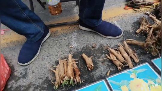 龙马精神之神笔马龙发布了一个斗鱼视频2019-04-20