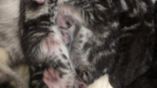 艺帝帝发布了一个斗鱼视频2019-04-21