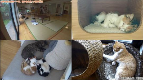 HHHISHHH发布了一个斗鱼视频2019-04-21