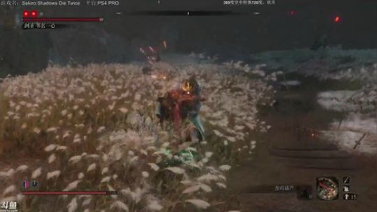 只狼死两次么？ 2019-04-21 14点场