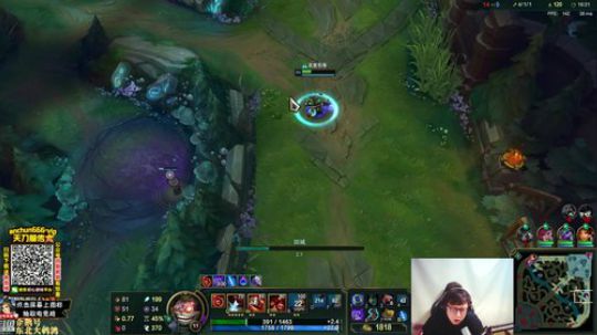 我在斗鱼看东北大鹌鹑直播英雄联盟