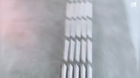 接老黑