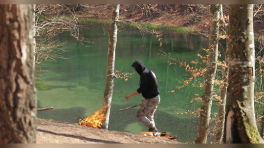 【丛林美食】美食美景