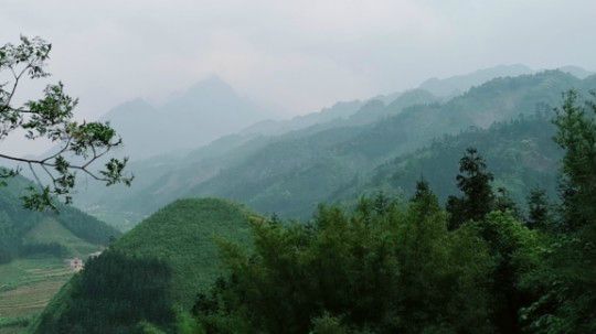 邻居借了一只鸡～汤打起