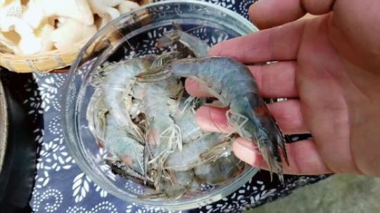 美食max上线天气不错(≧ω≦)/ 2019-04-22 14点场