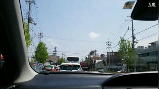 青蛙带我们游京都 2019-04-22 10点场