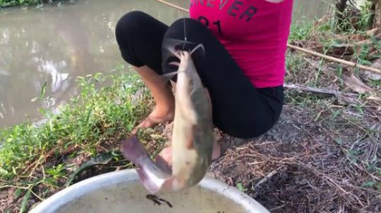 【美女打野】竹竿钓鱼