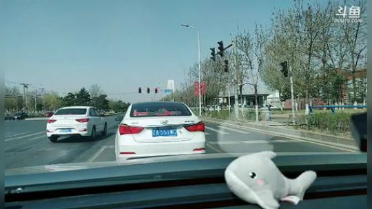 感冒唐：回家 溜达溜达！ 2019-04-21 08点场