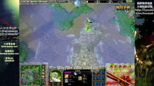 我在斗鱼看大帝LioN直播魔兽争霸