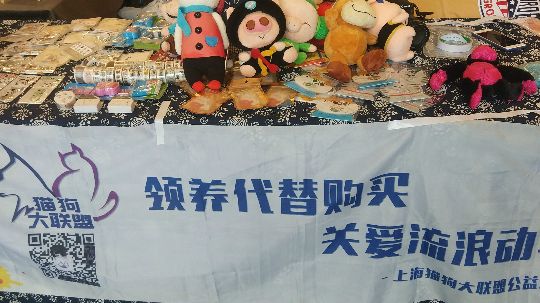 上海猫狗大联盟第23届领养活动现场