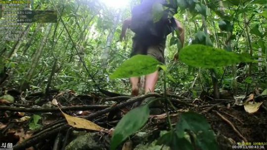 户外遛狗王飞哥发布了一个斗鱼视频2019-04-23