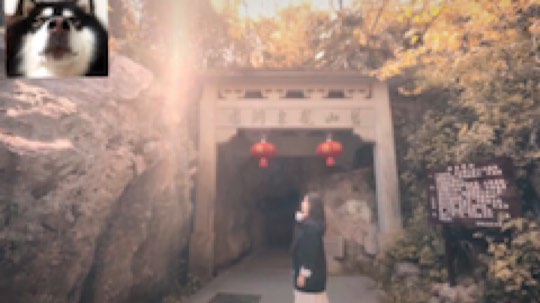 李丫丫丫丫丫丫发布了一个斗鱼视频2019-04-23