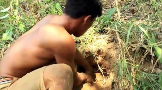 哼哼哈嘿 抓蛇居然这么投入