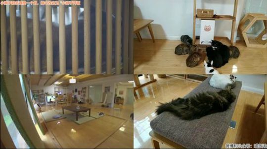 HHHISHHH发布了一个斗鱼视频2019-04-22