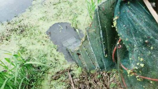 非娱勿扰筹备中 2019-04-19 14点场