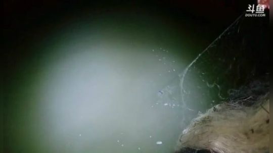 非娱勿扰（泥坑大战） 2019-04-18 22点场