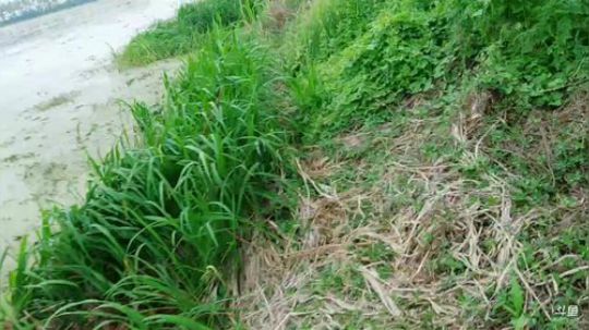 非娱勿扰筹备中 2019-04-19 16点场