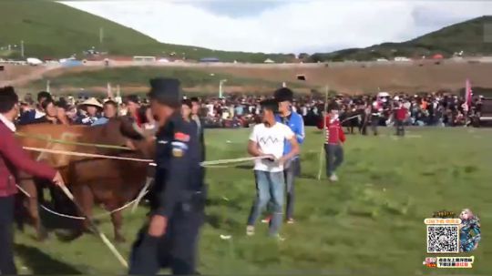 《孤独的旅行叶-尼泊尔 》 2019-04-25 13点场