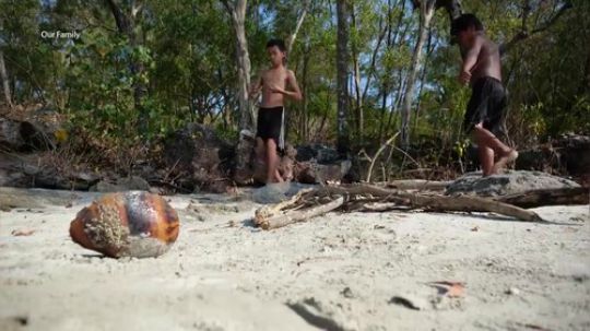 【荒野戏精】在海边烤一只超大的海螺！