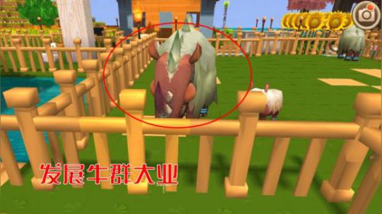 迷你世界44：我扩建鸡圈，修建牧场，要把7只小鸡变成100只