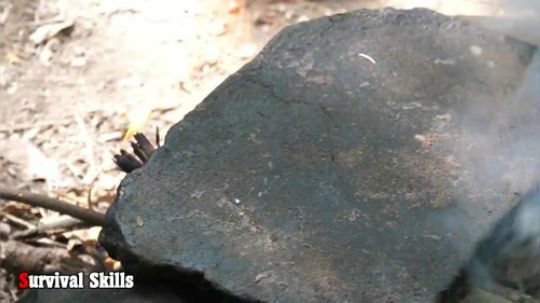 【荒野戏精】越嚼越开心的石板章鱼！两兄弟超爱的美食