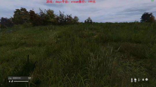 dayz0.12大冒险 2019-04-24 19点场