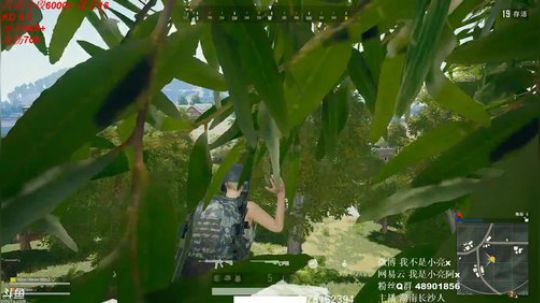 小亮：千场KD9，战神小亮 2019-04-24 01点场