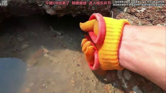 liyunanhj发布了一个斗鱼视频2019-04-25