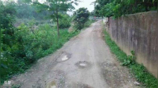 一年一度西瓜苗冠名了哦。 2019-04-25 18点场