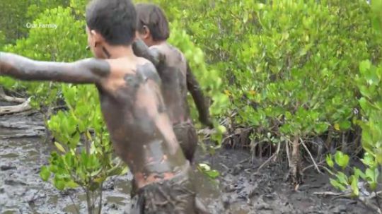 【荒野戏精】红树林里的大螃蟹！这大小有5斤了吧？