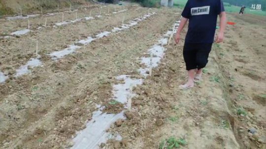 龙马精神之神笔马龙发布了一个斗鱼视频2019-04-26