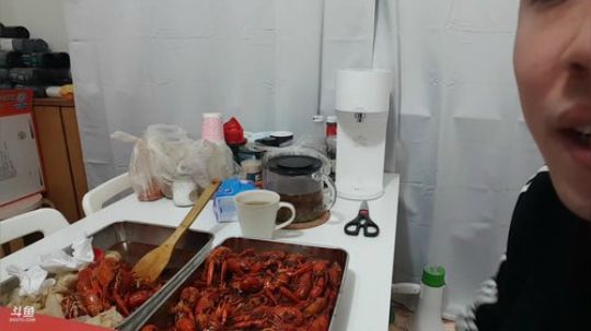 铁血丶苟且君发布了一个斗鱼视频2019-04-26